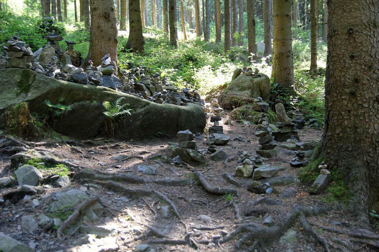 헤르츠베르크암하르츠 An Der Bremke 아파트 외부 사진
